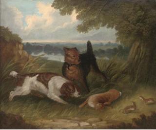 George Armfield - A Terrier And Spaniel With A Hare