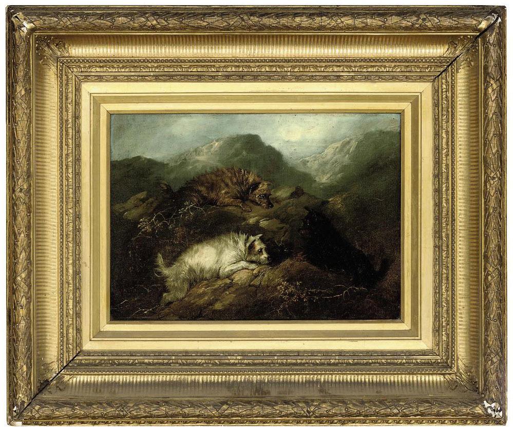 George Armfield - At play