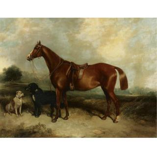 George Armfield - British A Chestnut Horse And Two Dogs In A Landscape