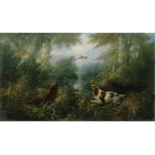 George Armfield - British Spaniels And Pheasants