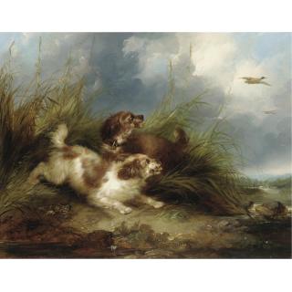 George Armfield - Spaniels Flushing Mallard