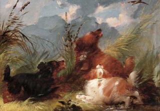 George Armfield - Spaniels flushing out snipe