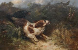 George Armfield - Spaniels Putting up a Snipe