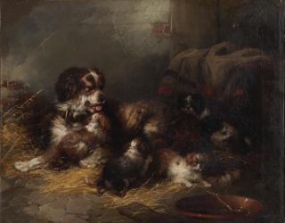 George Armfield - The new family