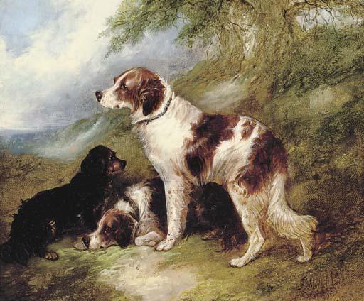 George Armfield - Waiting for master