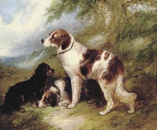 George Armfield - Waiting for master