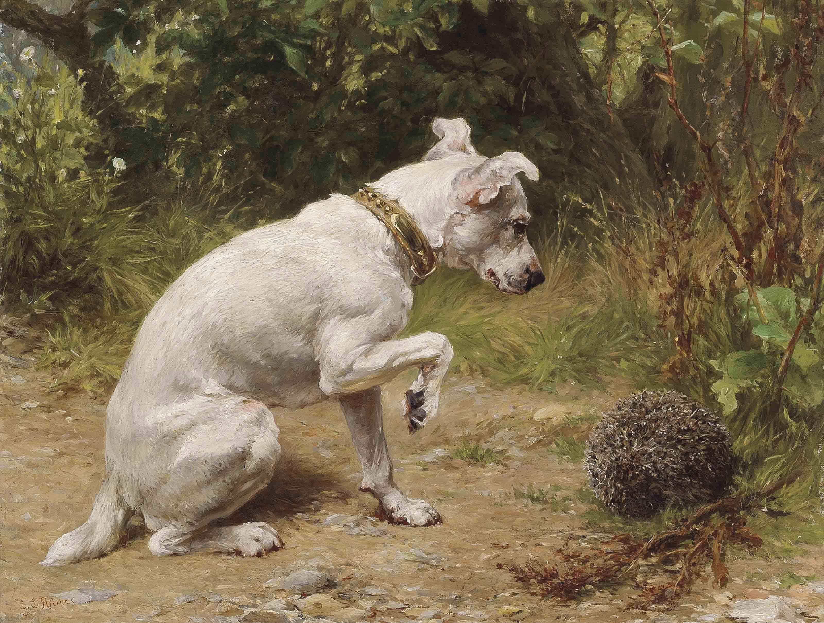 George Augustus Holmes, R.B.A. - A prickly encounter