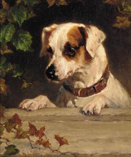George Augustus Holmes - An Inquisitive Terrier