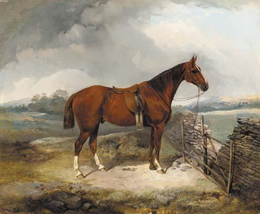 George Bouverie Goddard - A Bay Hunter by a gate