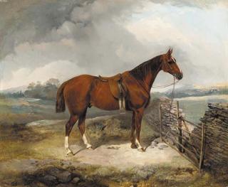 George Bouverie Goddard - A Bay Hunter by a gate