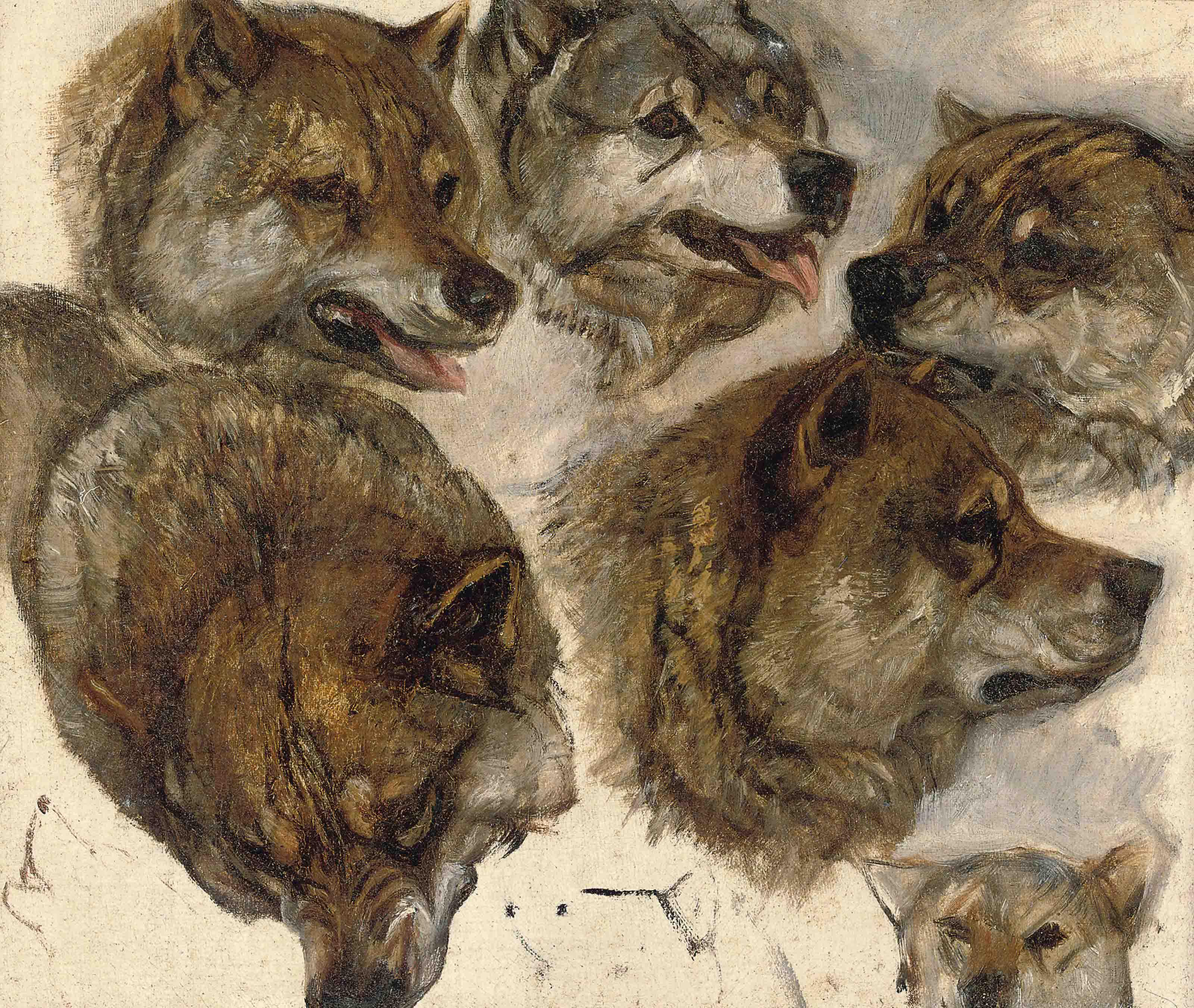 George Bouverie Goddard - Study of huskies heads