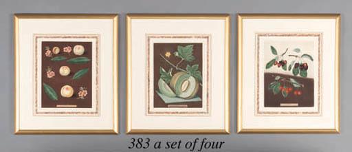 George Brookshaw - Four Handcolored Aquatints From: Pomonica Britannica, A Collection Of The Most Esteemed Fruits