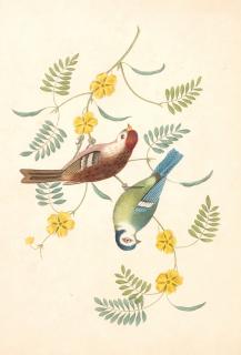 George Brookshaw - Groups of fruit [Six birds; Groups of flowers]... second edition, 1819