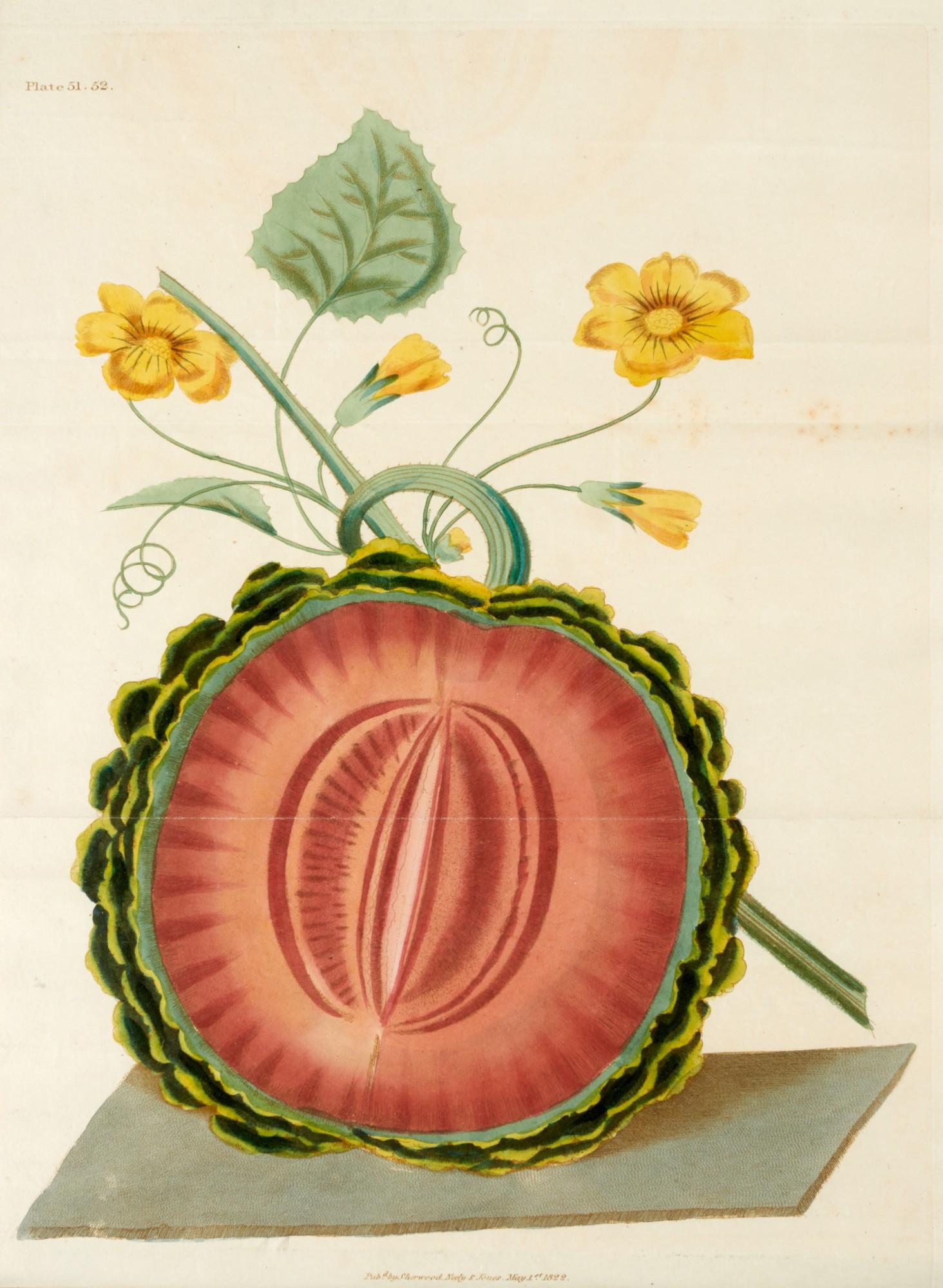 George Brookshaw - The Horticultural Repository, 1823, 2 volumes