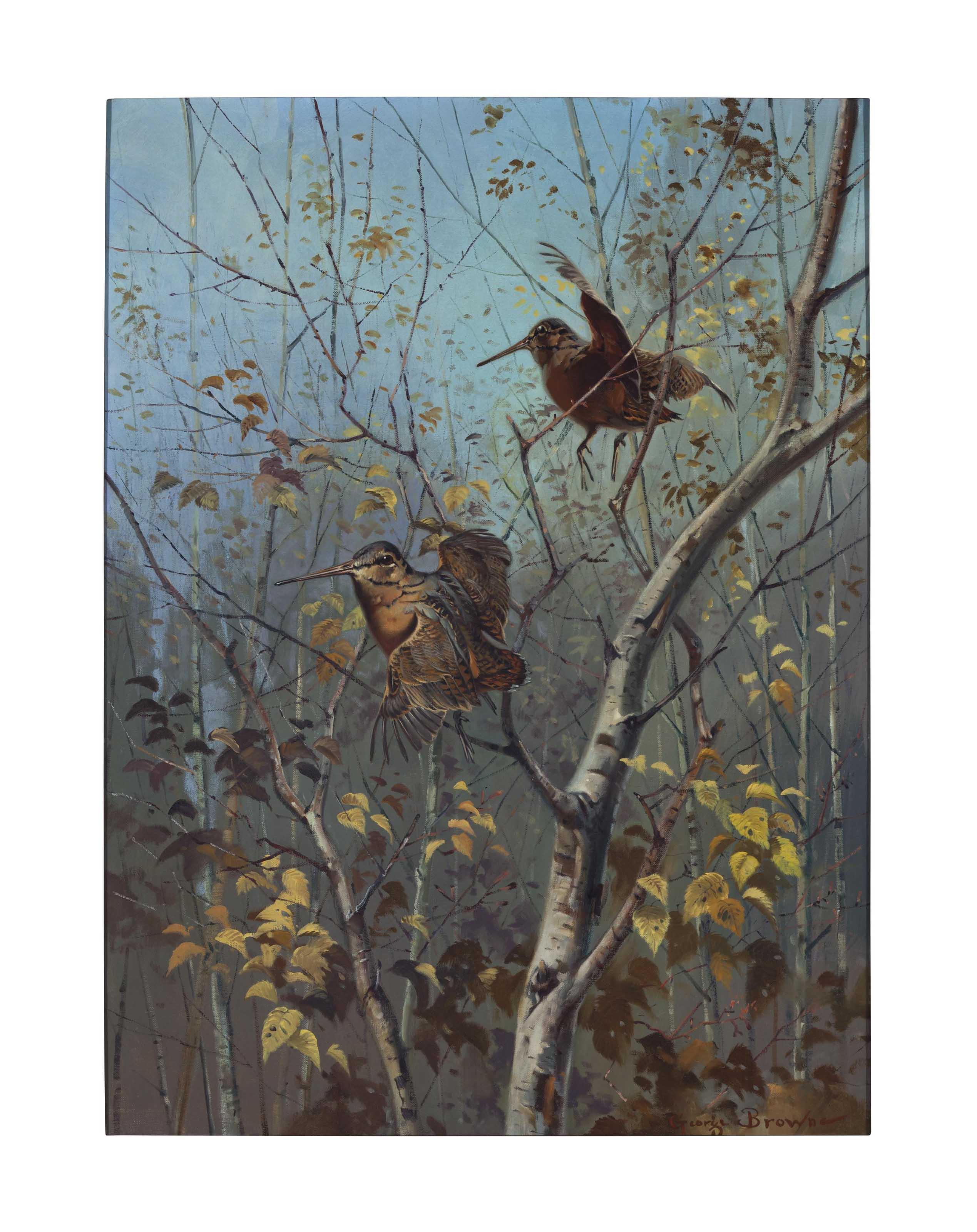 George Browne - Autumn Cover, Woodcock