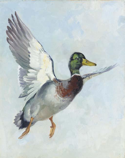 George Browne - Mallard in flight