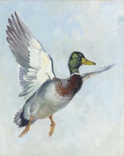 George Browne - Mallard in flight