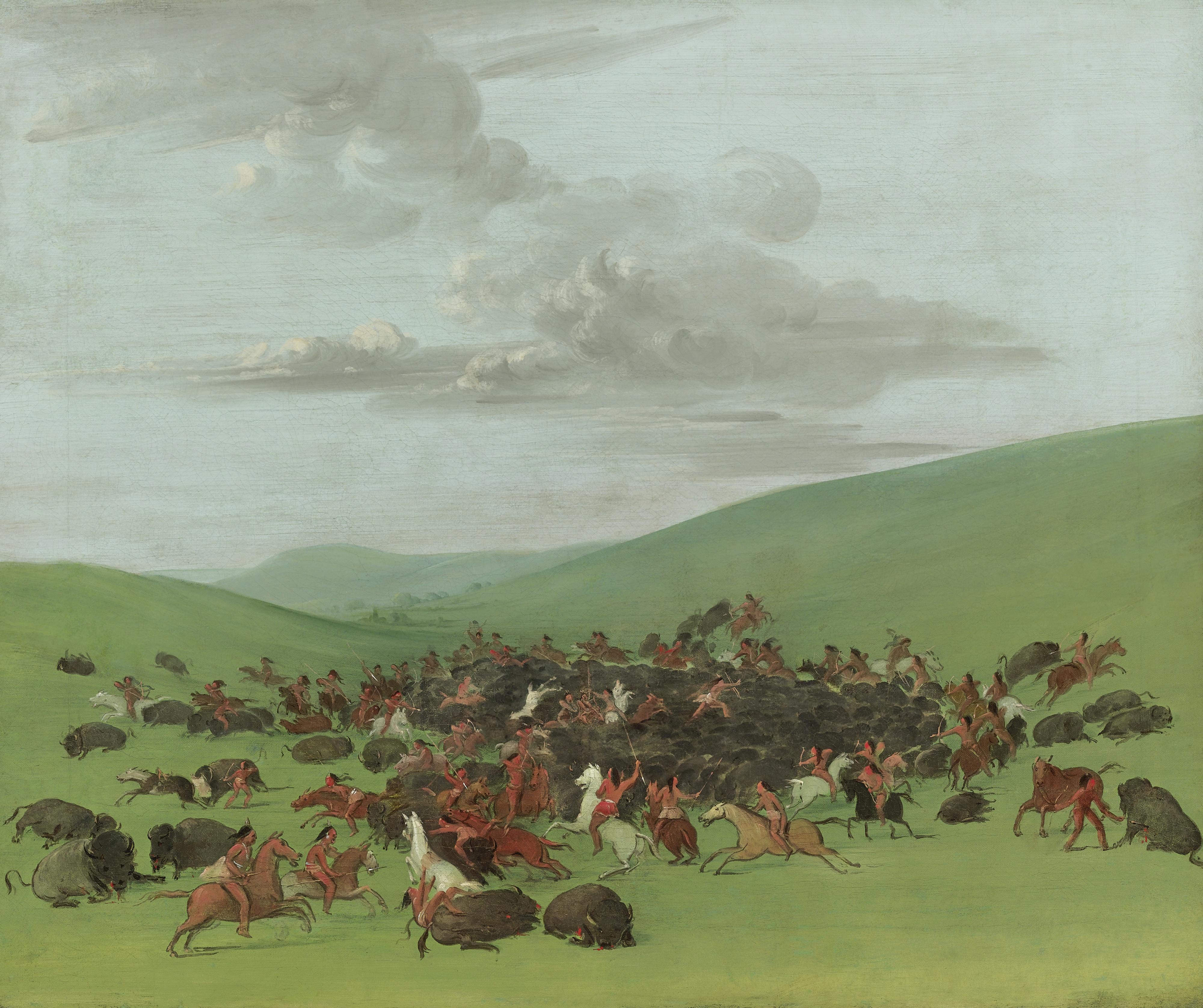 George Catlin - Buffalo Chase, A Surround By The Hidatsa