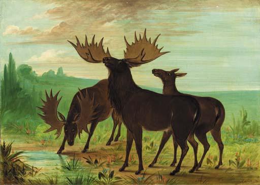 George Catlin - Moose at Waterhole