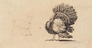 George Chinnery - Study of a turkey and a dog