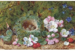 George Clare - Apple Blossom, Berries And A Bird\'S Nest With Eggs On A Mossy Bank; And Grapes, Raspberries And Greengages On A Mossy Bank