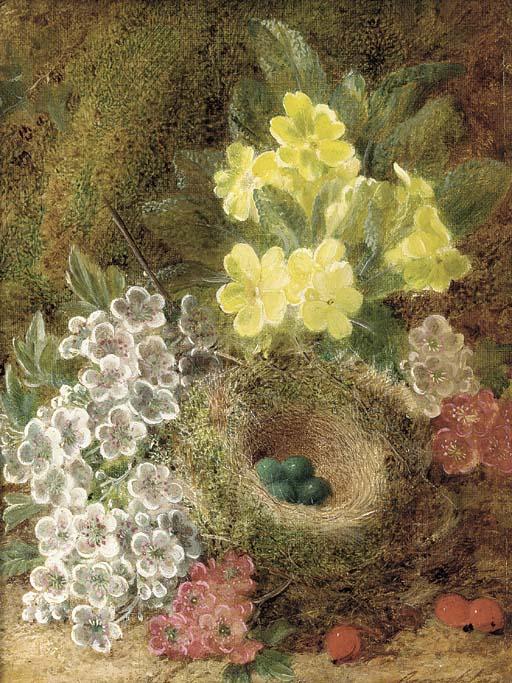 George Clare - May blossom, primulas, berries, and a bird\'s nest with eggs, on a mossy bank