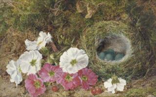 George Clare - Pink And White Pansies And A Bird\'S Nest With Eggs On A Mossy Bank; And Plums, Raspberries And Crab Apples On A Mossy Bank