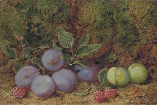 George Clare - Plums, Raspberries And Greengages On A Mossy Bank