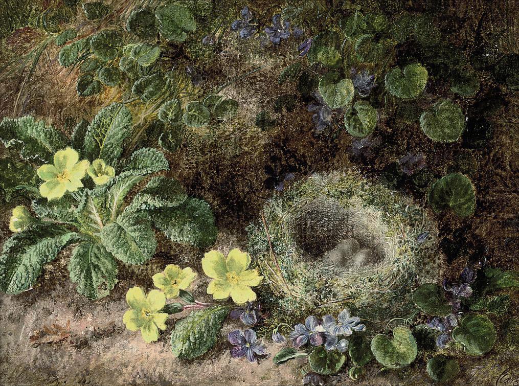 George Clare - primroses, forget-me-nots and a bird\'s nest on a mossy bank