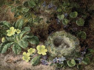 George Clare - primroses, forget-me-nots and a bird\'s nest on a mossy bank