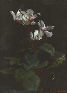 George Cochran Lambdin - Cyclamen