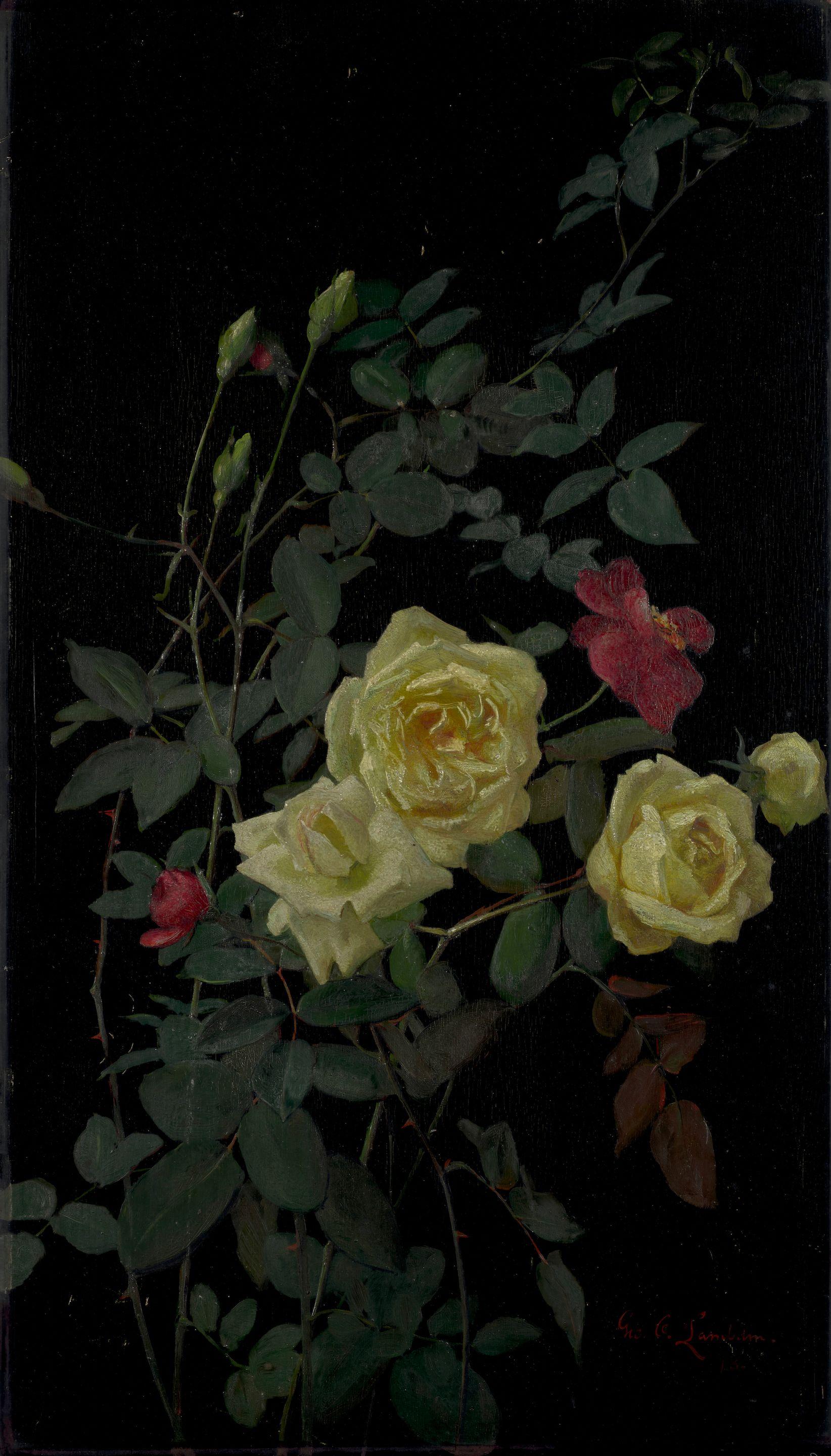 George Cochran Lambdin - Roses