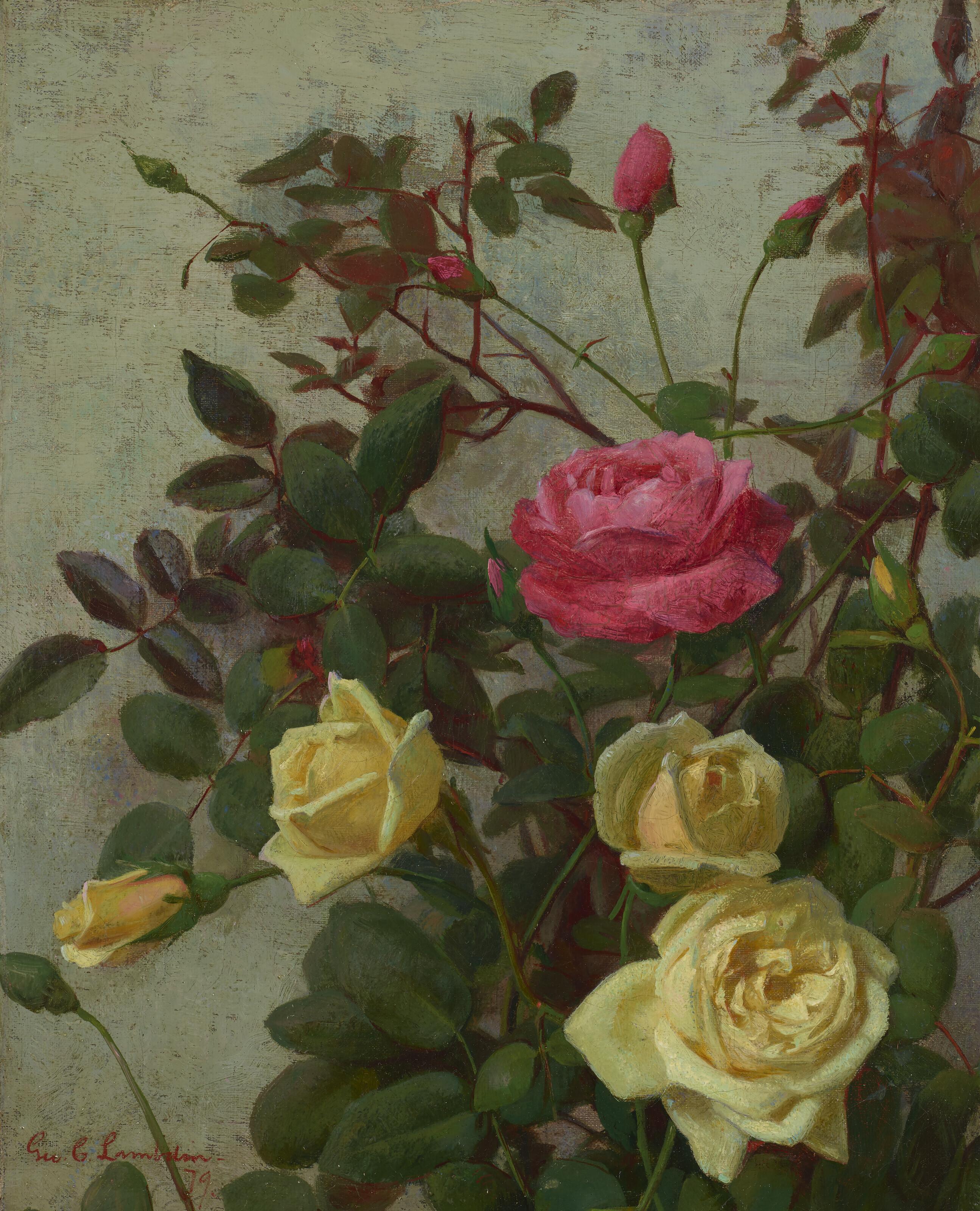 George Cochran Lambdin - Study of Roses
