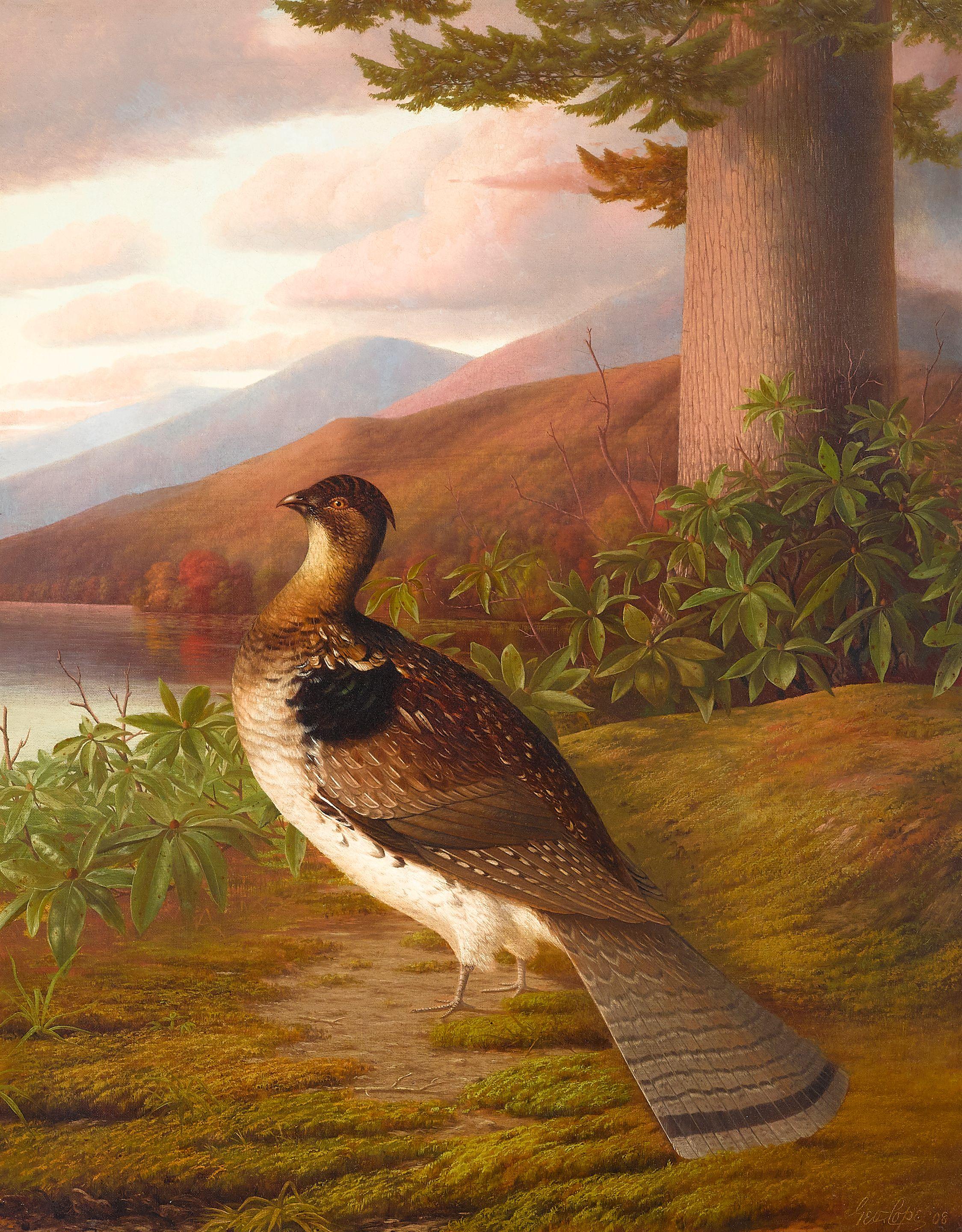George Cope - Ruffed Grouse 28 x 22 in. (71.1 x 55.9 cm.)