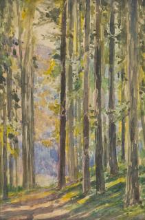 George Drah - 2 Bll.: Hannibals Grab – Waldstück