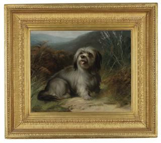 George Earl - A long-haired terrier in a landscape
