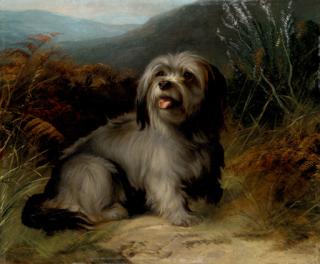 George Earl - A Terrier in a Landscape