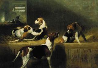 George Earl - Brocklesby Foxhounds, Scornful, Prudence, Rosebud and Poesy (from left to right)