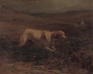 George Earl - Duchess, A Pointer