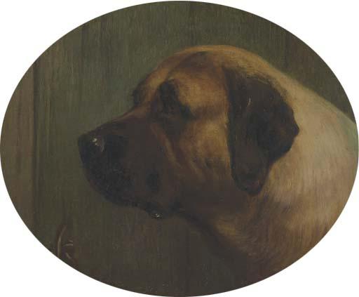 George Earl - Head of A Bull Mastiff