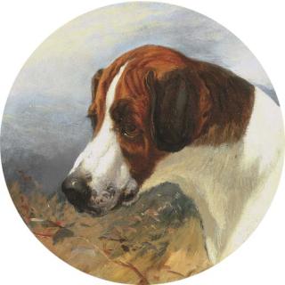 George Earl - Head of Gainer, a Fox Hound