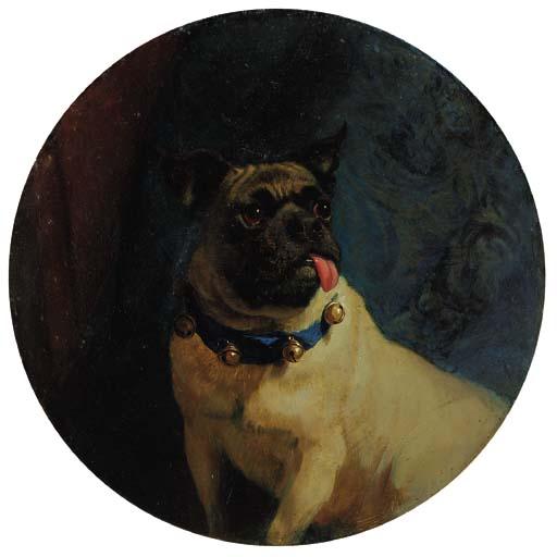 George Earl - Pippin, A Pug Dog With A Freemason Collar