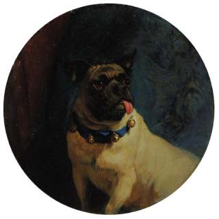 George Earl - Pippin, A Pug Dog With A Freemason Collar
