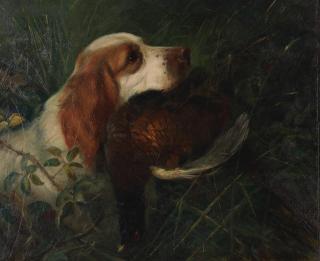 George Earl - Spaniel retrieving a pheasant