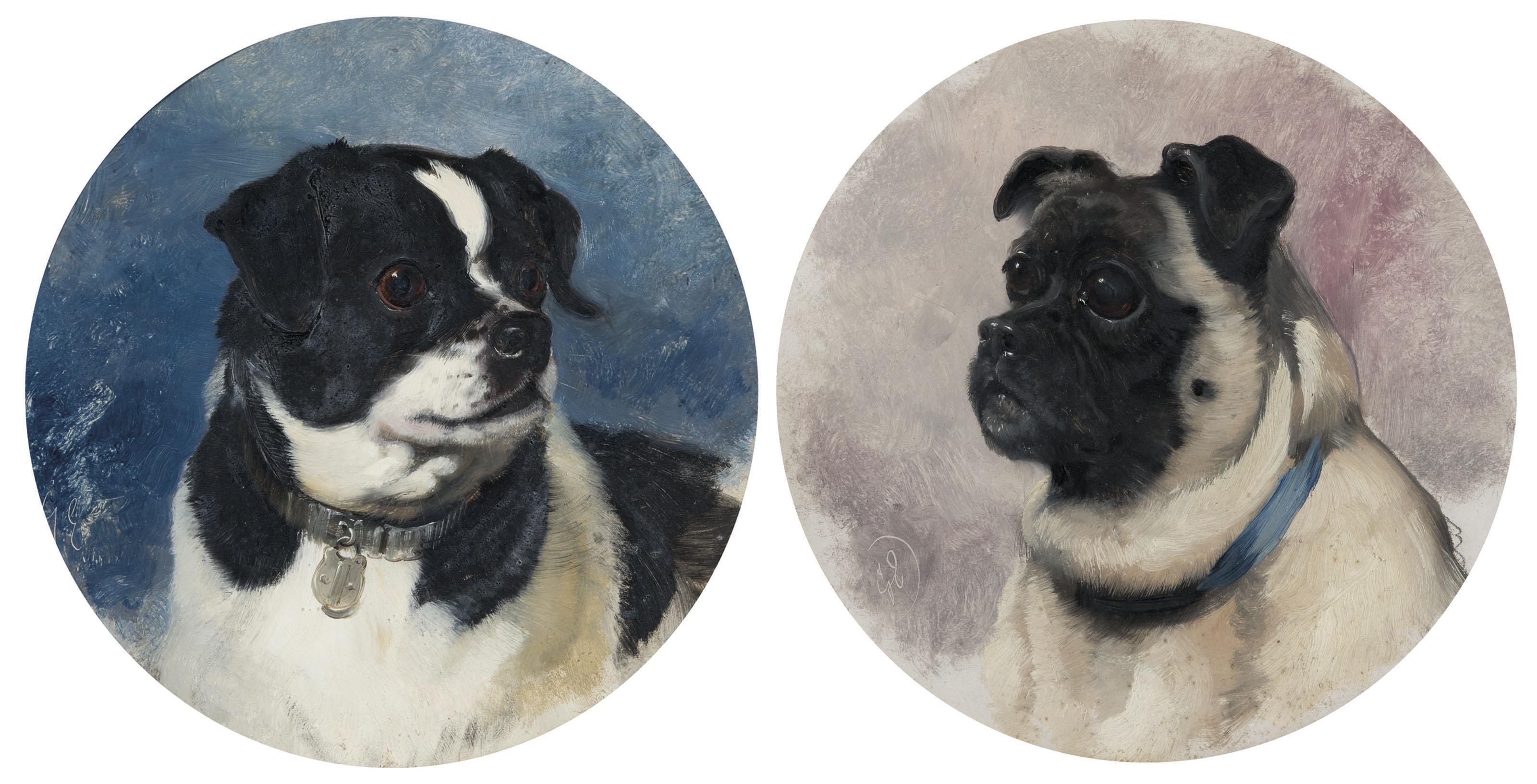George Earl - Study of a pug (i); \'Dot\' (ii)