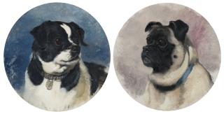 George Earl - Study of a pug (i); \'Dot\' (ii)