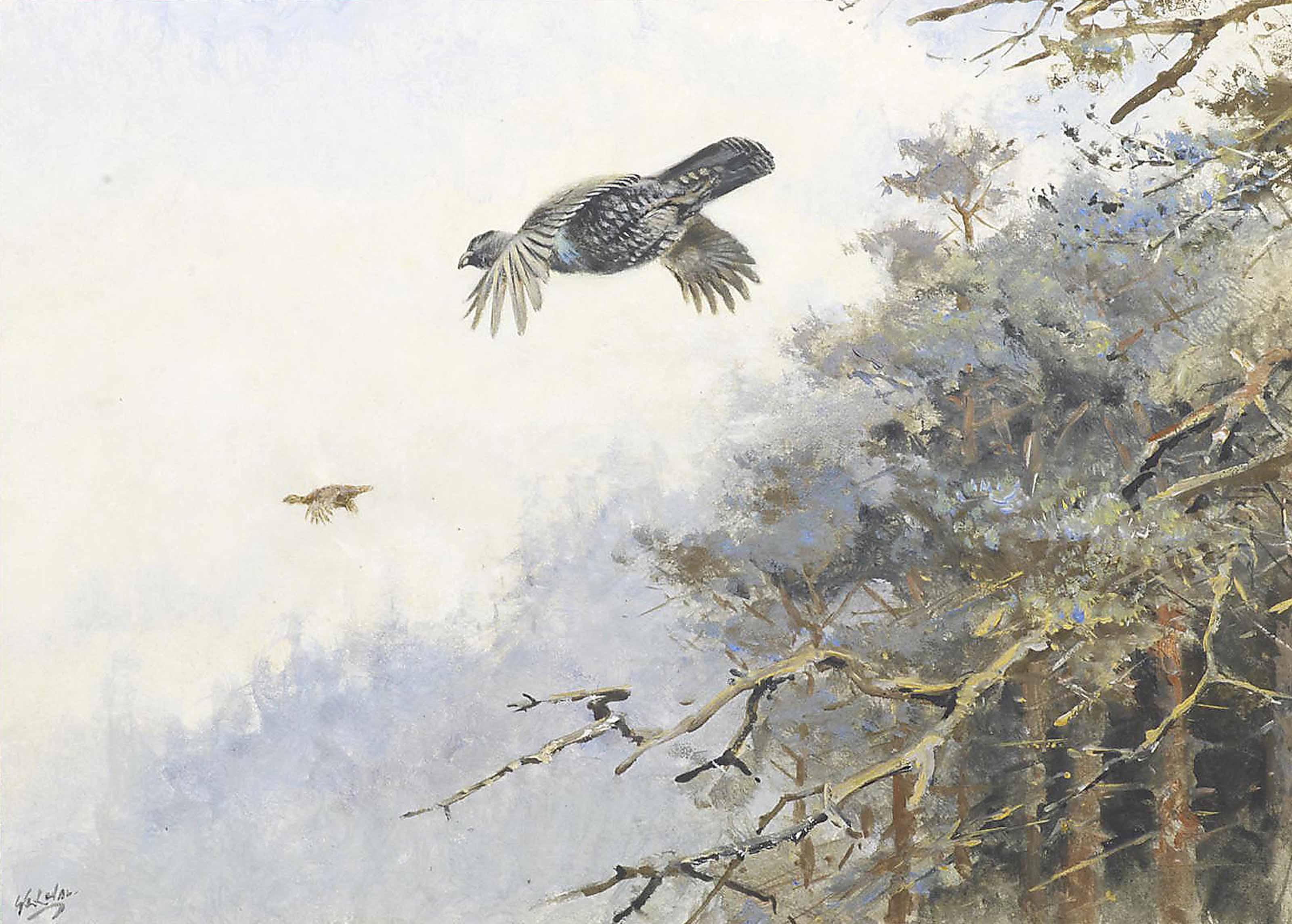 George Edward Lodge - A cock and hen capercaillie flying from a pine forest