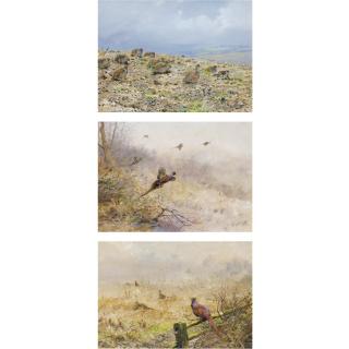 George Edward Lodge - A Covey Of Partridge; Flushing Pheasant; Cock And Hen Pheasants In A Field