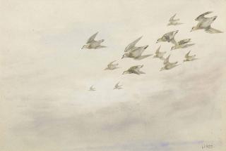 George Edward Lodge - A flock of golden plover in flight