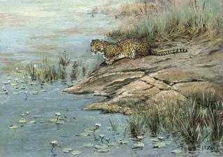 George Edward Lodge - A Leopard By The Water\'S Edge